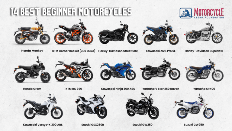 14 Best Beginner Motorcycles For All Types Of Riders